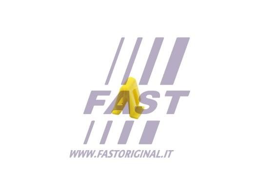 FT96313 Fast Clip