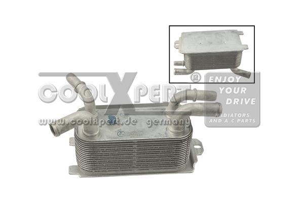 BBR Automotive 001-10-30822 Oil Cooler, engine oil 0011030822