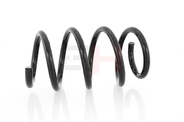 Suspension Spring GH GH-202311