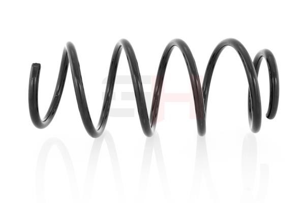 Suspension Spring GH GH-202320