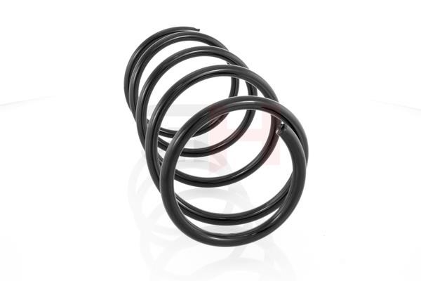 Suspension Spring GH GH-201501