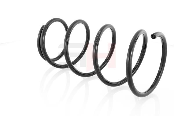 Coil spring suspension BMW: GH201501 GH Suspension Spring