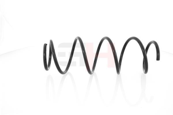 Front coil spring GH GH-202322