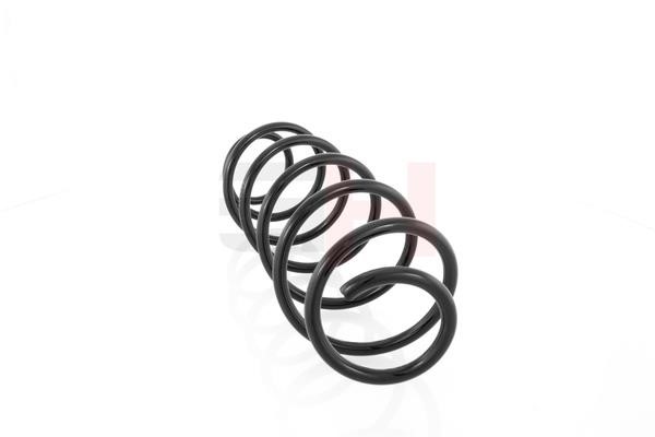 Front coil spring GH GH-202325