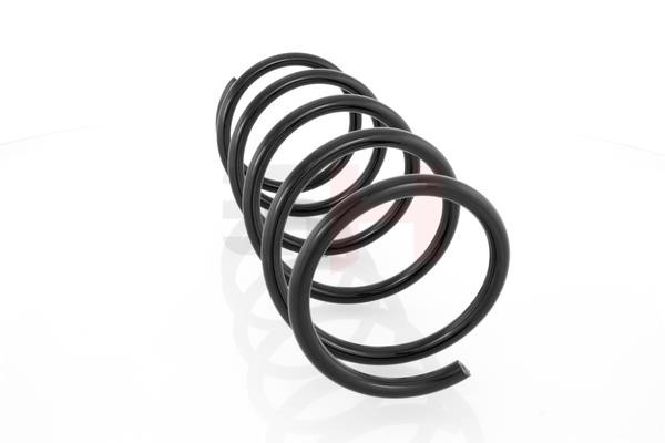 Suspension Spring GH GH-202501