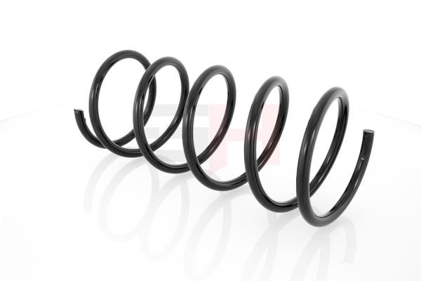 Suspension Spring GH GH-202508