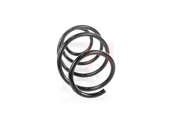 Suspension Spring GH GH-203504