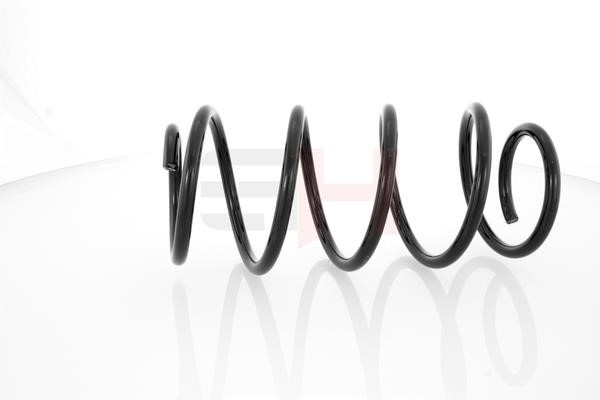 Front coil spring GH GH-202210