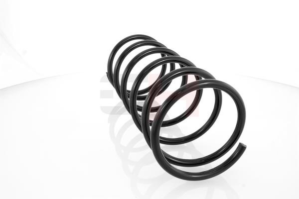 Suspension Spring GH GH-203706