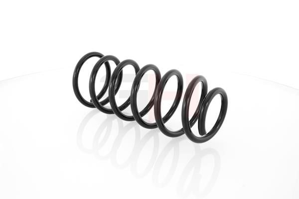 Front coil spring GH GH-203604