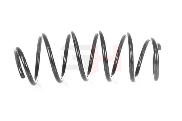 Suspension Spring GH GH-203770