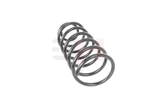 Front coil spring GH GH-204712
