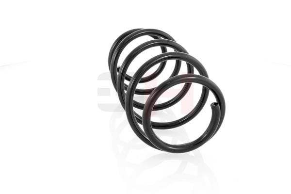 Suspension Spring GH GH-203613