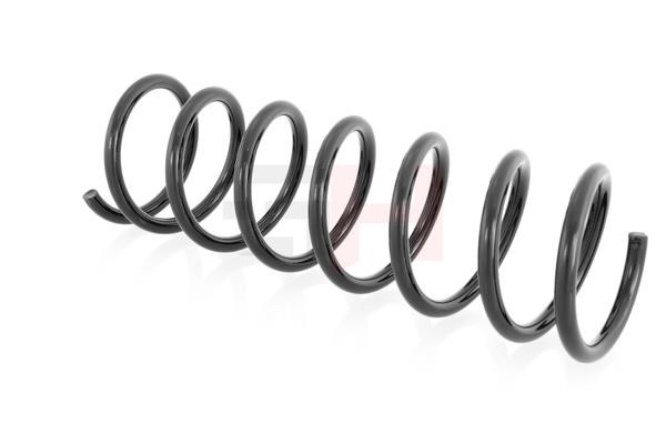 Suspension Spring GH GH-223209