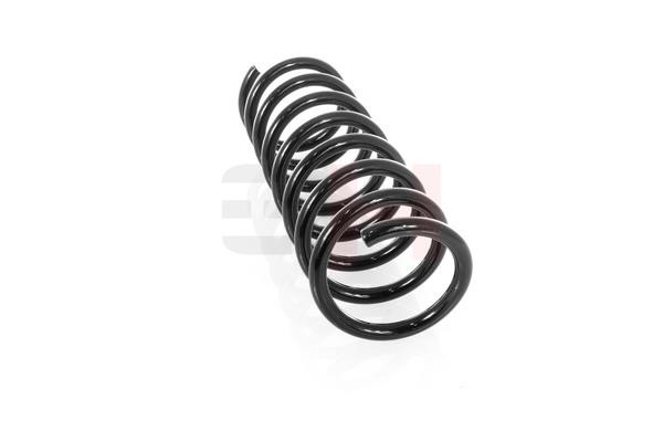 Suspension Spring GH GH-223210