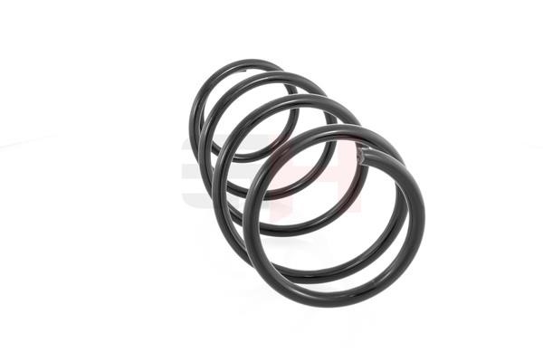 Suspension springs Renault: GH203920 GH Suspension Spring