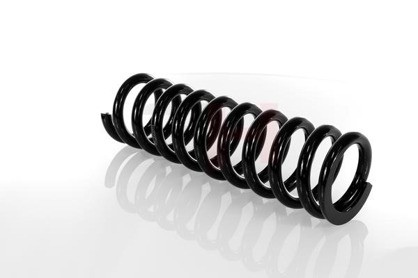Rear coil spring GH GH-223304