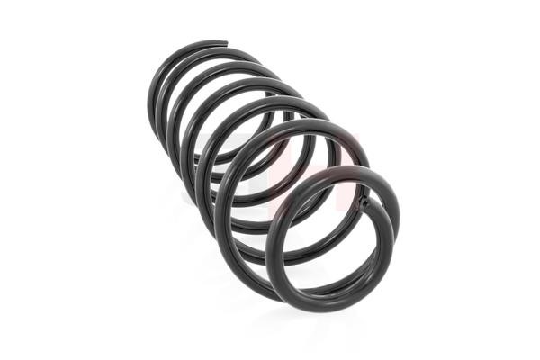 Suspension Spring GH GH-204302