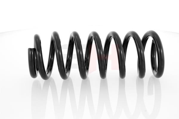Suspension Spring GH GH-205202