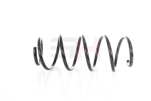 Suspension Spring GH GH-209914