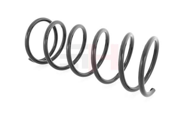 Front coil spring GH GH-204504