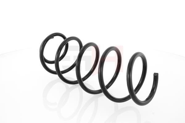 Suspension Spring GH GH-209924
