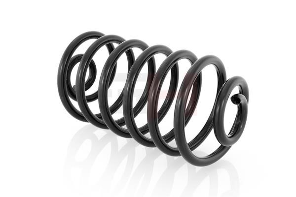 Suspension Spring GH GH-223604