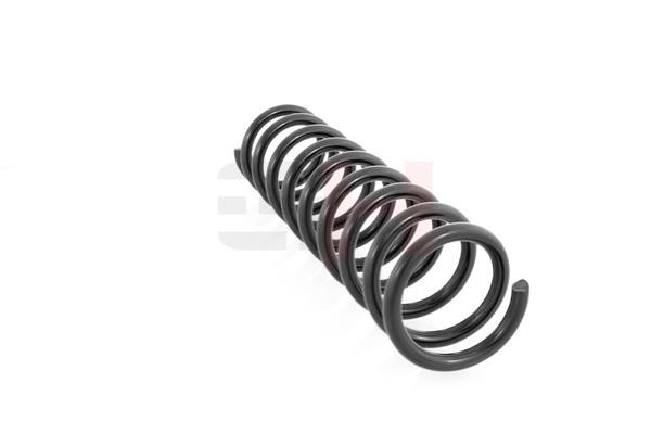 GH GH-221502 Rear coil spring GH221502 GH221502 GH Rear coil spring