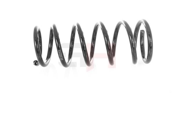 Suspension Spring GH GH-222201