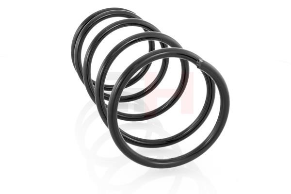 GH222207 GH Suspension Spring