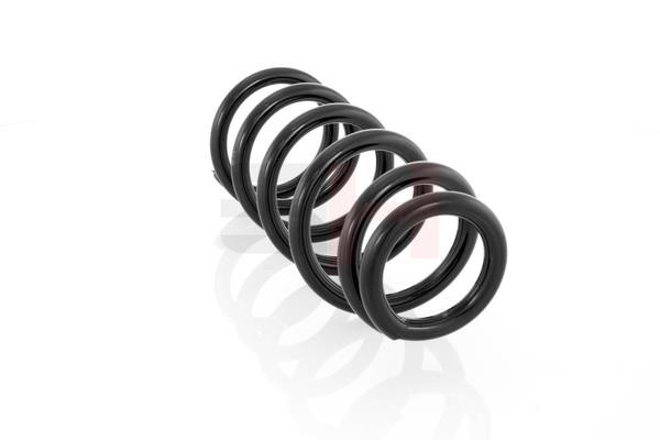Suspension Spring GH GH-222604
