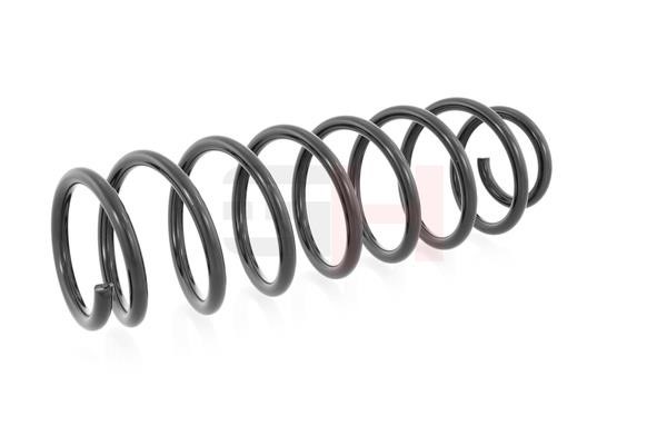 GH224718 GH Suspension Spring
