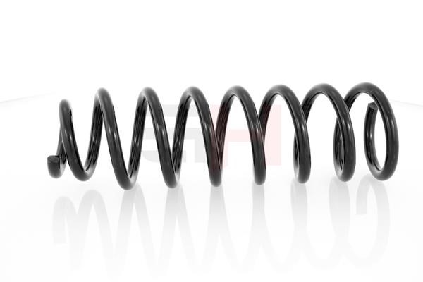 Rear coil spring GH GH-224786