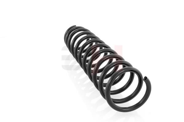 Suspension Spring GH GH-224804