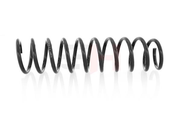 Rear coil spring GH GH-224806