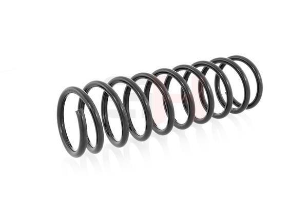 Rear coil spring GH GH-222506