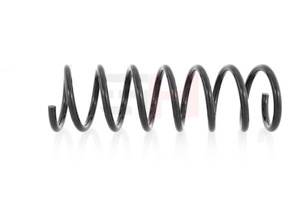 Suspension Spring GH GH-222518