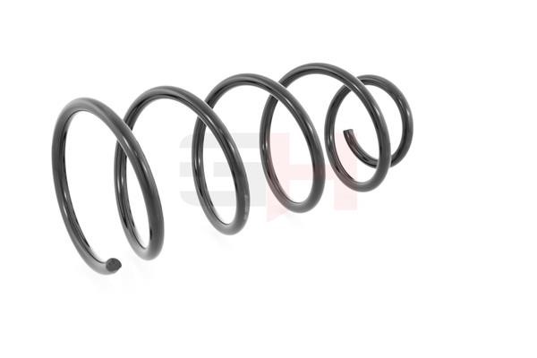 Suspension Spring GH GH-203210