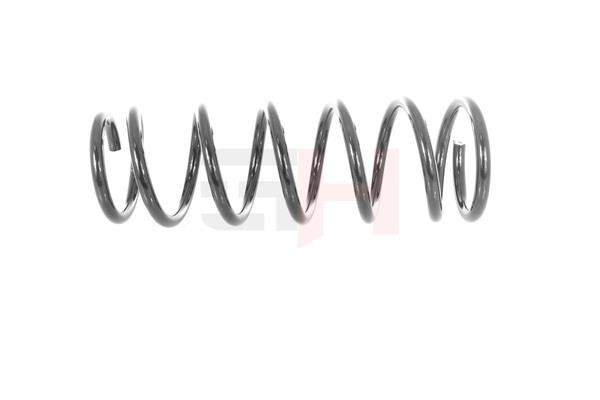 Suspension Spring GH GH-222225