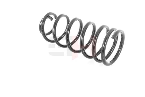 Suspension Spring GH GH-222315
