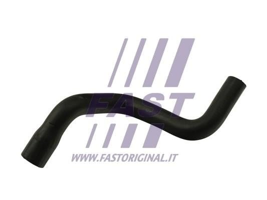FT61077 Fast Radiator hose