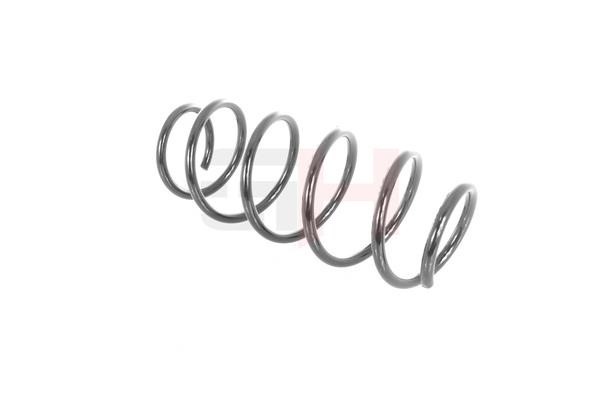 GH202533 GH Suspension Spring