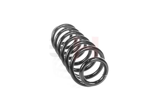 Suspension Spring GH GH-229955
