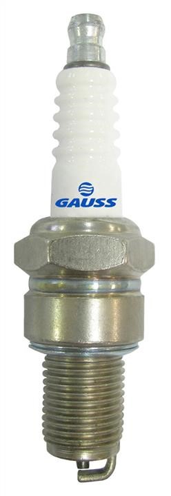 Gauss GV5R01 Spark plug GV5R01