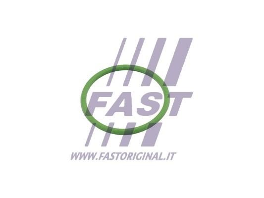 Fast FT48803 Seal, turbine inlet (charger) FT48803 FT48803 Fast Seal, turbine inlet (charger)