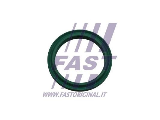 FT48933 Fast Seal Ring, charge air hose