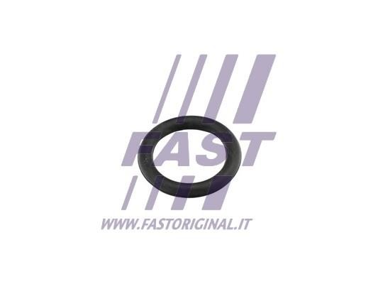 Engine intake manifold gasket Mini: FT49419 Fast Intake manifold gasket