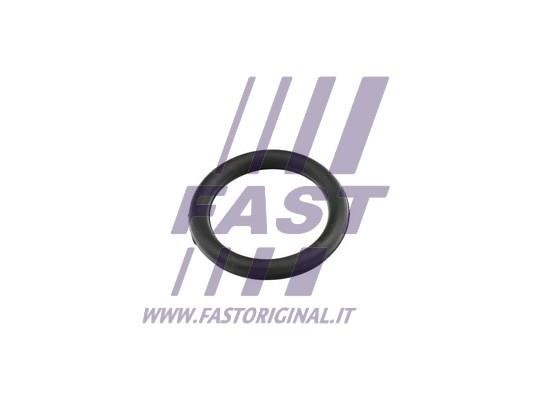 Fast FT49420 Gasket, intake manifold FT49420