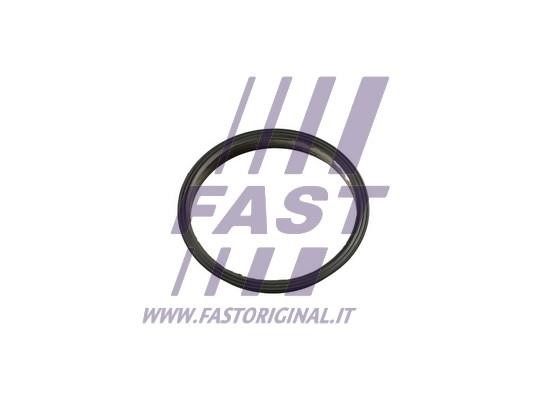 Fast FT49853 Gasket, vacuum pump FT49853