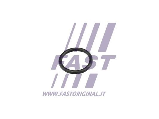 FT49856 Fast O-ring
